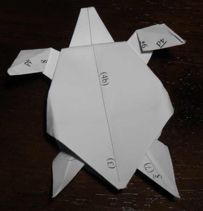 origami turtle